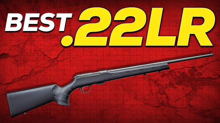 Top 10 Most Demanding .22 LR Rifles In 2025!