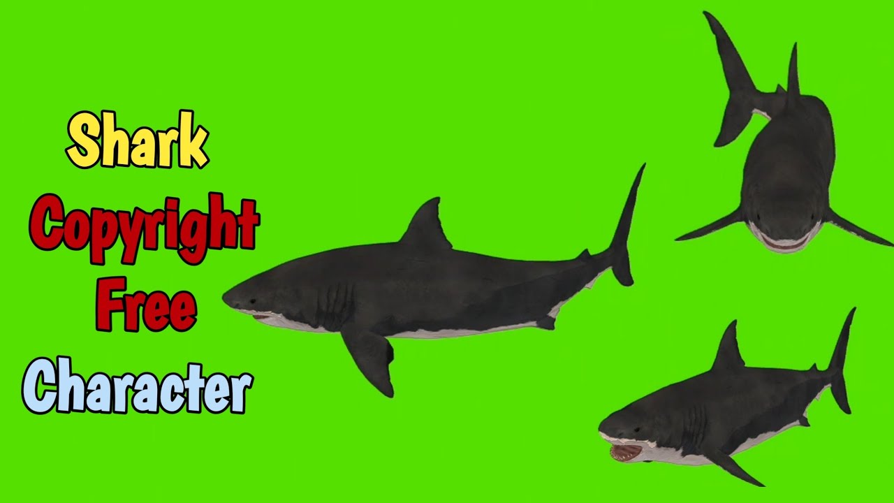 Shark Green Screen Video / Shark Green Screen Video Free Download / Pg 1 Tech / Shark Swimming