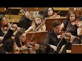Johannes brahms  symphony n 2 1st movement  allegro non troppo