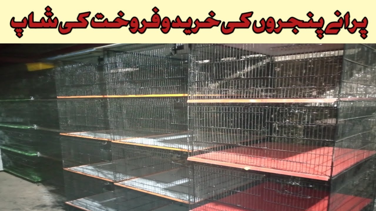 used cages sale purchase shop Folding cage only for 12000 rupees