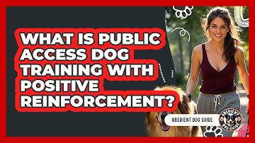 What Is Public Access Dog Training With Positive Reinforcement? - Obedient Dog Guide