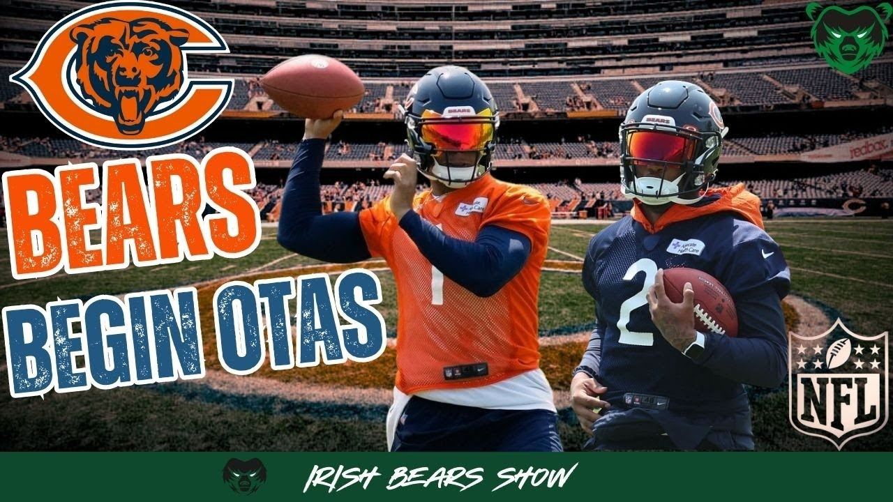 Chicago Bears return to OTAs! OTA Takeaways with Zack Pearson YouTube