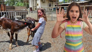 Marina e Elisa se divertem na fazenda