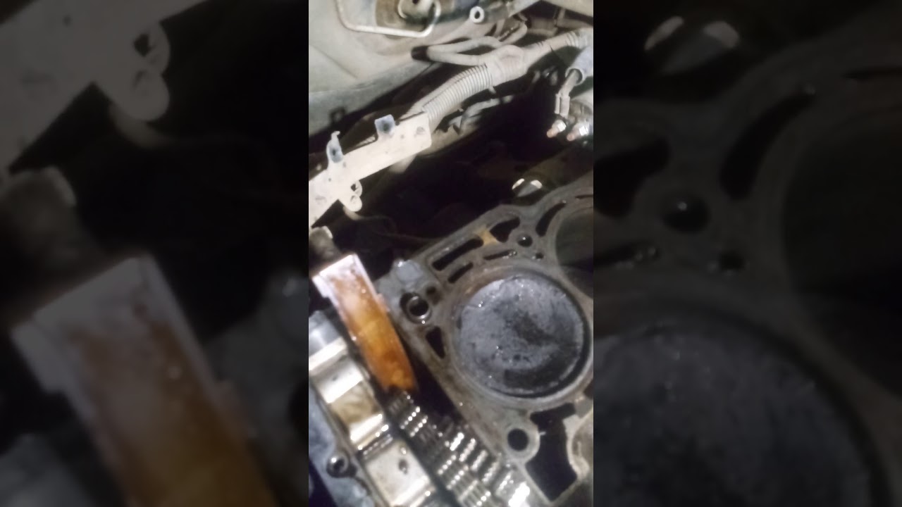 Причина масложера! Nissan Primera p12 YouTube