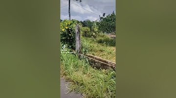 BÁN ĐẤT TẶNG NHÀ TẠI ĐÁ BẠC, CHÂU ĐỨC, TỈNH BR - VT