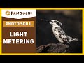 Light Metering Photography Tutorial | BRIGHT SUBJECT with a DARK BACKGROUND