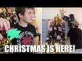 IT'S STILL HERE AFTER 13 YEARS! LET THE CHRISTMAS TRADITIONS BEGIN | PUTTING UP THE CHRISTMAS TREE