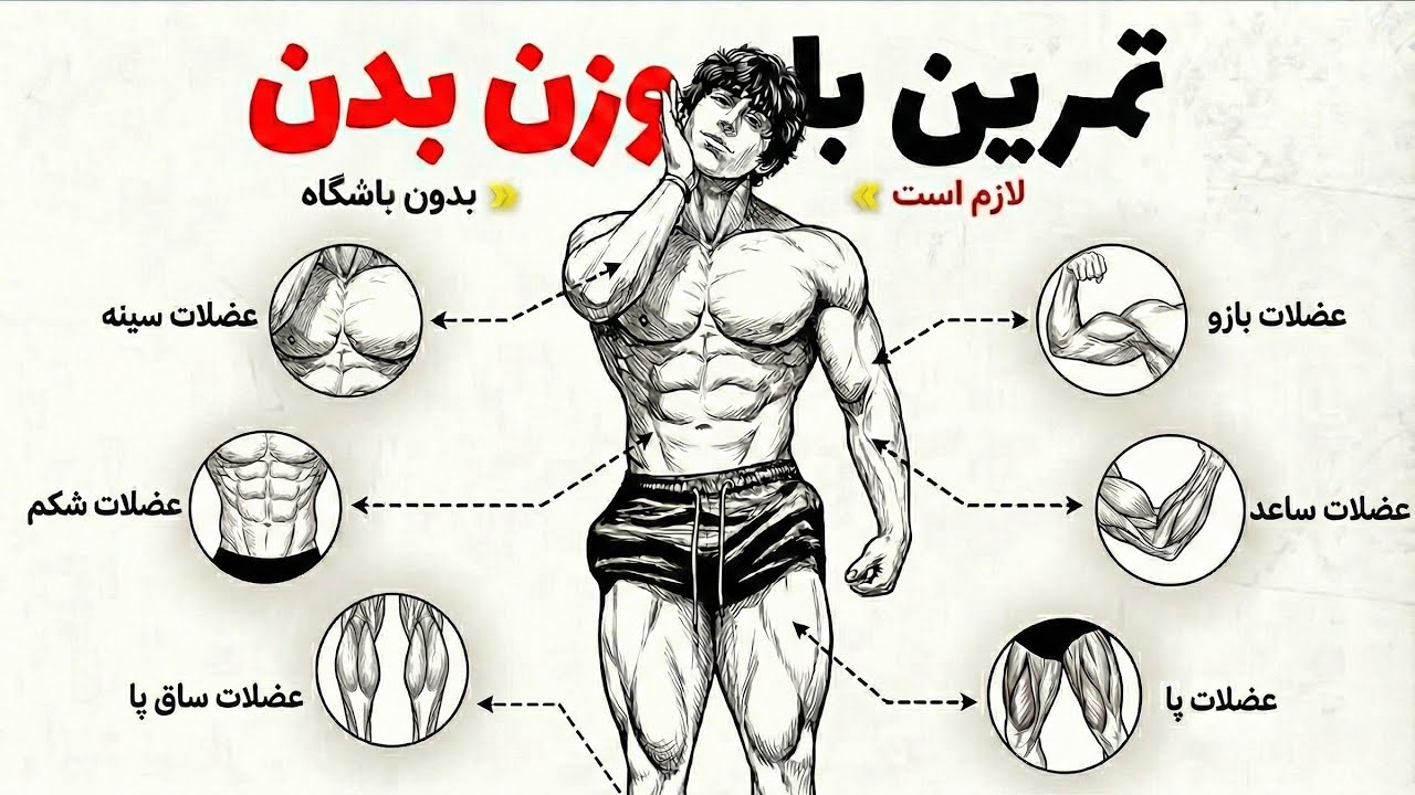 تمرین با وزن بدن در خانه برای مبتدیان، بدون باشگاه | راهنمای گام به گام بدون تجهیزات و رایگان