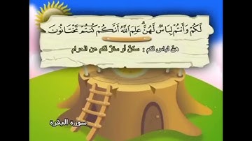سورة البقرة الآيات (186- 187) المنشاوي المعلم.