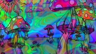 Video thumbnail of "Crazy Murray  - The Orange Alabaster Mushroom"