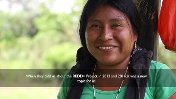 Indigenous people and REDD+. The bright side.