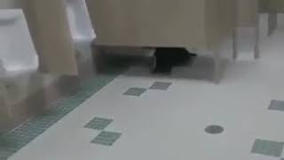 Guy Screaming In The Bathroom (EARRAPE)