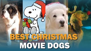 Dogs in Christmas Movies | Talkin' Dogs by Continental Kennel Club, Inc. 151 views 1 year ago 3 minutes, 22 seconds