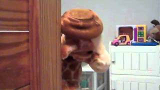 Lemur Meets Giraffe.avi