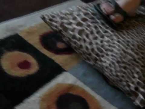 puppy paradise Della