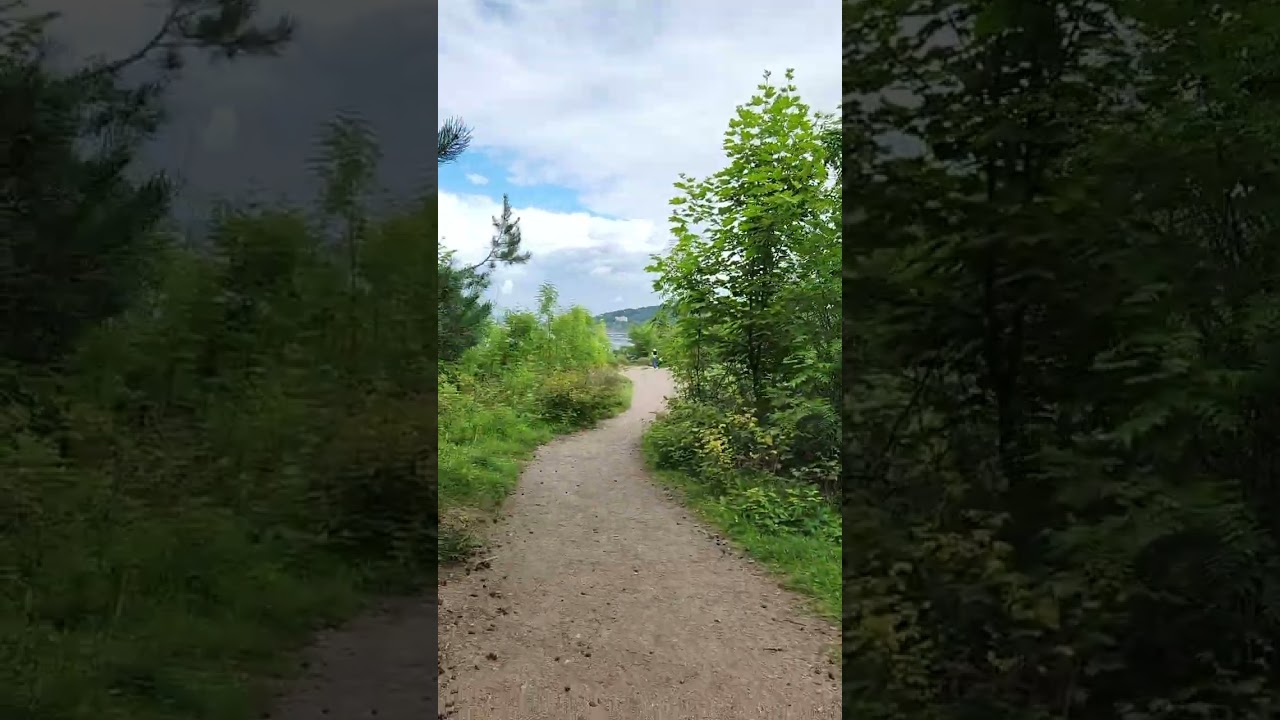 Norway oslo jungle trek(1)