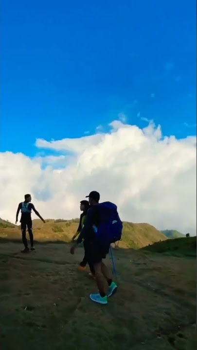 Pendakian gunung Prau viral, - gunung Indonesia #shorts #pendaki #viral #gunungprau2565mdpl