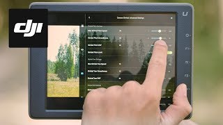 DJI Film School - Gimbal and Camera Setup