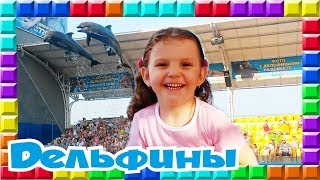 ❒ Смотрим шоу дельфинов Одесский дельфинарий Немо ВЛОГ VLOG Dolphin show in Odessa