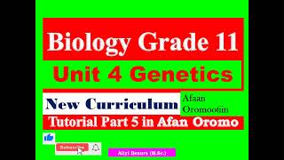 Celebrity New Curriculum Biology Grade 11 Unit 4 Genetics Tutorial part 5 in Afan Oromo Net Worth