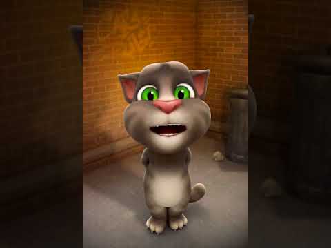 Talking Tom - Aklım gider aklına