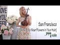 San Francisco(Be sure to Wear Flowers in Your Hair) - 조아람 전자바이올린(Jo A Ram violin cover)