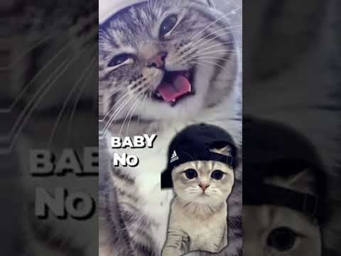 baby no money's 💰 #fypシ゚viral #foryoupage #babynomoney