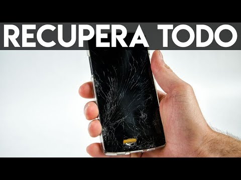 Vídeo: Com Descarregar Un Programa Des D’un Ordinador A Un Telèfon