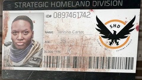 The Division (Video Game) | Missing Agents #11 | Tanisha Carter | Flatiron District