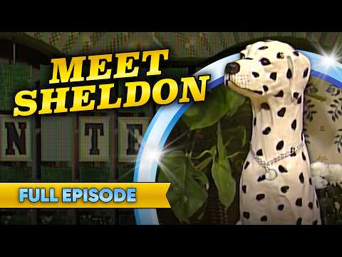 The Ceramic Dog Who Became Legendary | Wheel of Fortune Full Episode