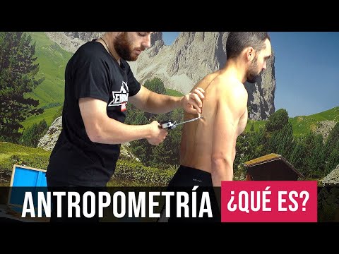¿Cómo se hace