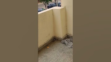 kuk boys hostel😂 #kukuniversity #kuruchetra #hostellife #hostel #ranbirsingh #studentlife