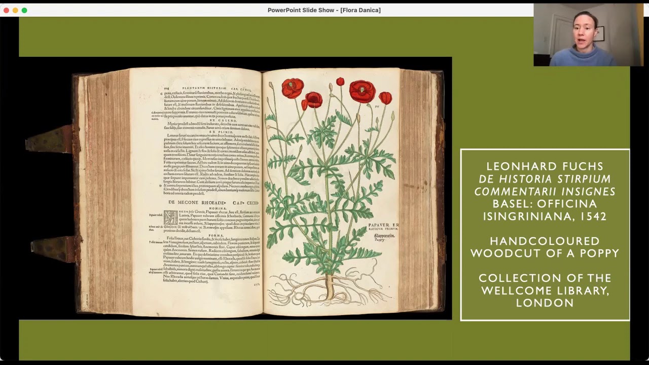 CloseLooking: Flora Danica