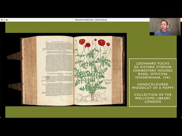 CloseLooking: Flora Danica - YouTube