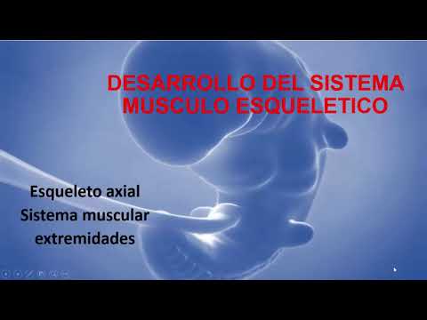 Qué Profesión Especialidad Médica Esqueleto Sistema Muscular