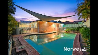 19 Gracelands Drive, Quakers Hill - For Sale By Auction