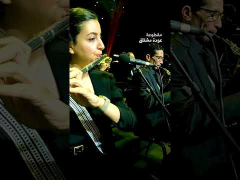 مقطوعة " عودة مشتاق | تأليف محمد القحوم " .