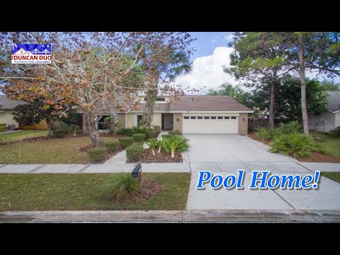 4707 CRESSON COURT, Tampa, FL home video tour