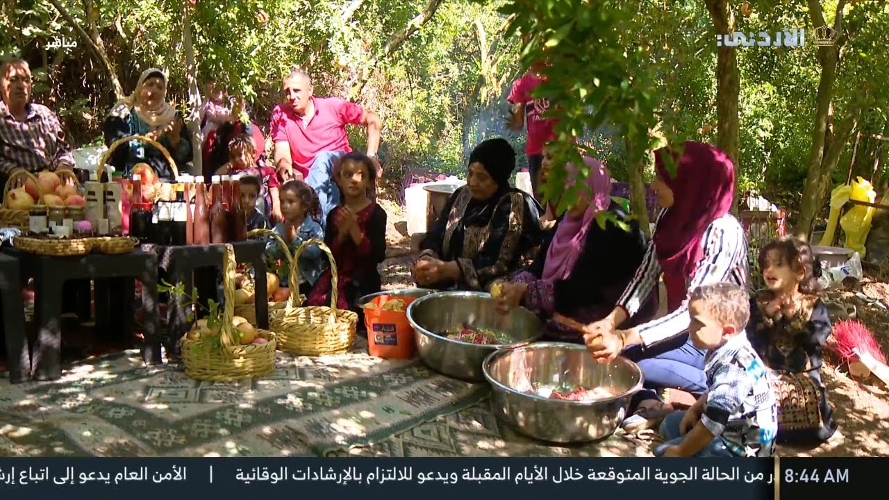 🔸موسم الرمان في كفرسوم