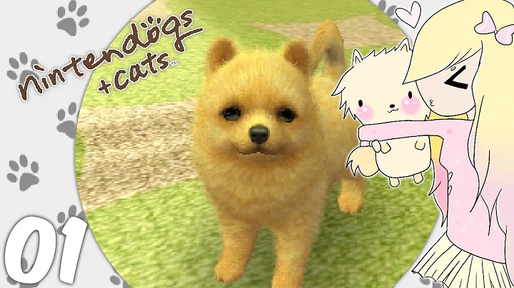 [Let's Play] Nintendogs + Cats (Toy Poodle) - EP01: New puppy (❍ᴥ❍ʋ)