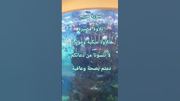 تلاوة عطرة ومؤثرة لسورة مريم | سورة مريم تلاوة قصيرة #سورة_مريم #تلاوات_خاشعة