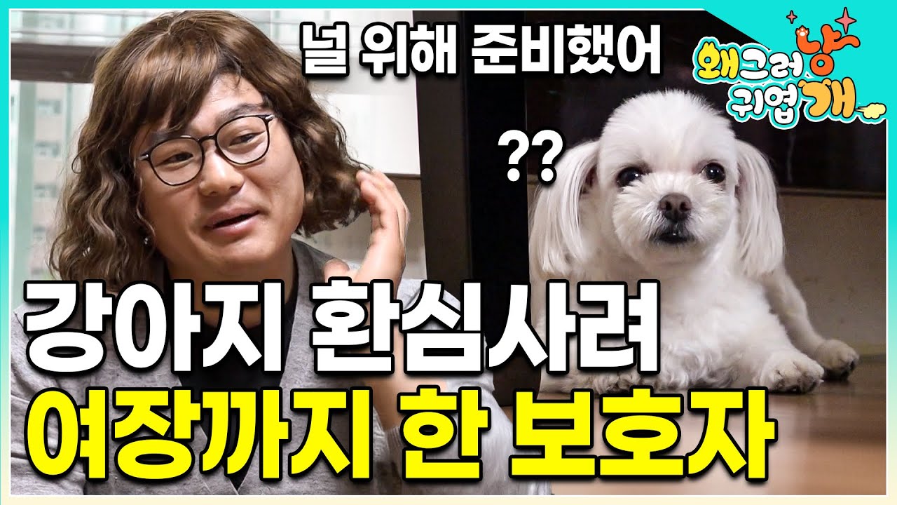 아빠가 오는 소리만 들리면 기겁하는 강아지를 위해 여장까지 하며 노력했지만 절대 가까워질 수 없었던 강아지와 보호자. 설채현의 특급 솔루션으로 아빠 곁으로 간 개｜#왜그러냥귀엽개