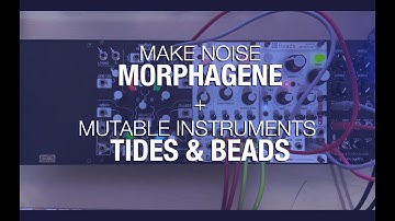 Make Noise Morphagene + Mutable Instruments Beads