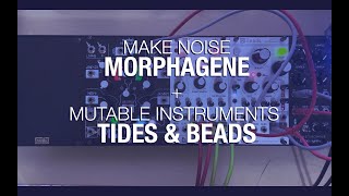 Make Noise Morphagene + Mutable Instruments Beads