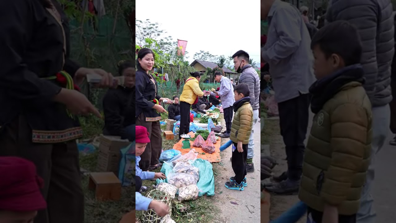 1 BUỔI ĐI CHỢ VÀ MUA ĐƯỢC MÓN ĂN KÌ LẠ #giadinh #amthucbaclieu #foodchannel #amthuctaybac #foodv