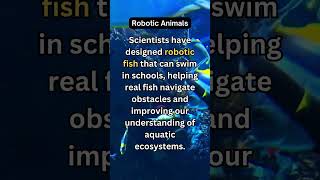 Robotic Animal Fact quickfacts fish shorts