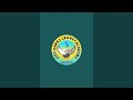 City Hawks Cricket Academy Dibiyapur is live