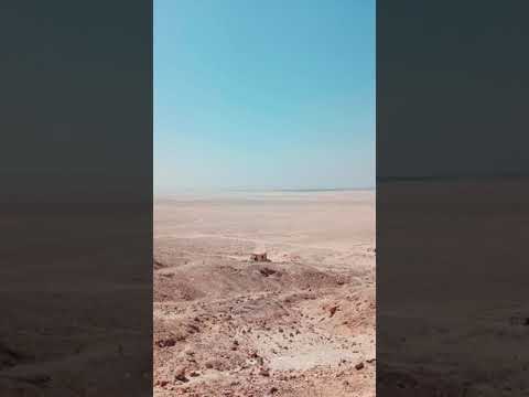 تل العمارنة