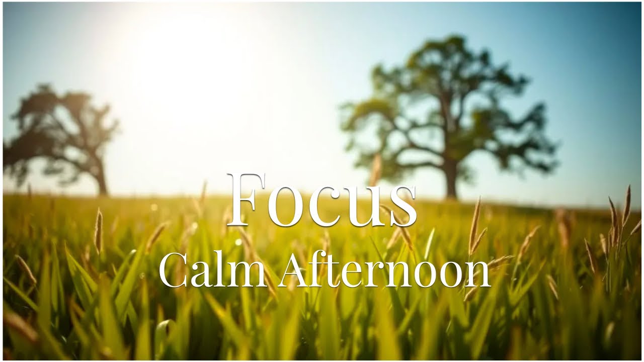 10 Hours Lofi for Calm Afternoon Focus｜長時間作業・日中BGMにちょうどいい午後｜穏やかな風が通り抜ける草原の光｜Sunlit Meadow Lo-Fi