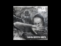 ЖЩ - Боль всего мира (аудио)